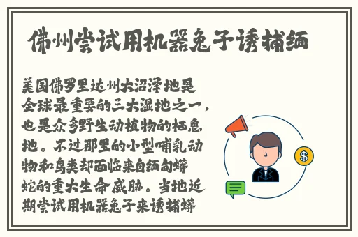 穿裙子忘穿内裤了该咋办呢